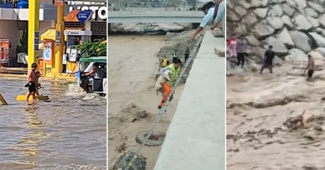 Personas rescatan animalitos sin hogar de las lluvias