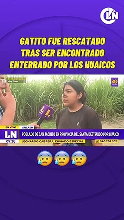 Personas rescatan animalitos sin hogar de las lluvias