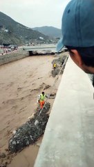 Personas rescatan animalitos sin hogar de las lluvias