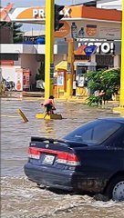Personas rescatan animalitos sin hogar de las lluvias