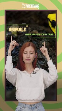 Animales tan venenosos que son letales para los seres humanos