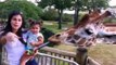 Kids and Babies Feeding Animals in ZOO - Cute Babies Meeting Animals for the first time