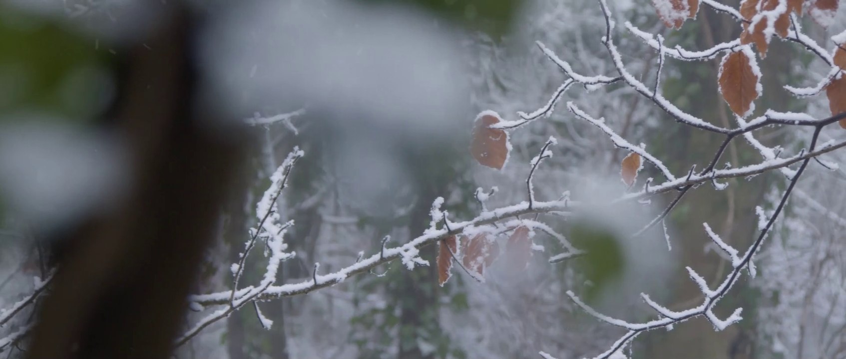 A Narnia Lullaby In Rainy Mood ☆ Bladevings ☆ A Relaxing Lullaby by Bladevings