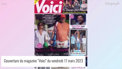 Anne Depetrini prête à "fonctionner sous antidépresseurs" ? Cette drôle de manie qui lui a évité le pire