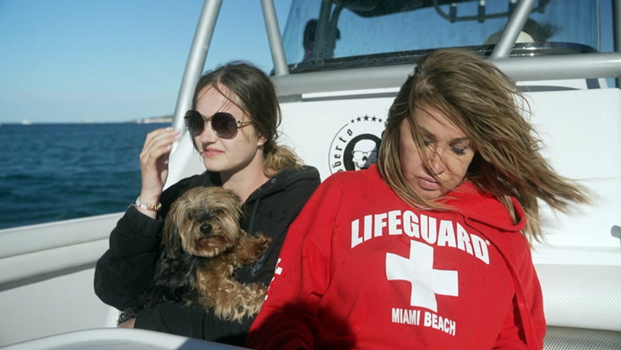 „Die Geissens“: Neue Folge dreht sich um selten gesehenes Familienmitglied