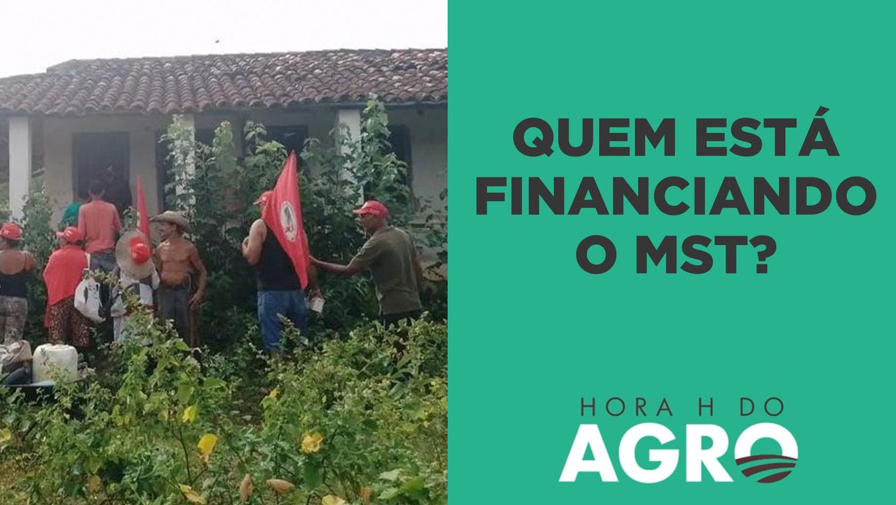 Invasões do MST: Quem está financiando o movimento? CPI deve investigar o tema | HORA H DO AGRO
