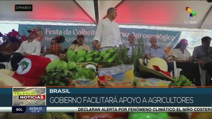 Brasil: Movimiento Sin Tierra realiza vigésima cosecha de arroz ecológico