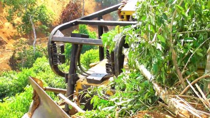 As The Excavator Backed Up, It Hit The Wood || Bulldozers D6R XL