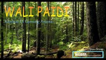 Wali Paidi 03 || Khalwat Di Gunung Arjuna