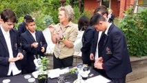 Students propagating plants that could end up on ISS