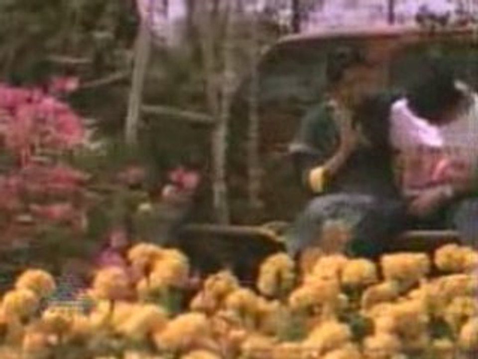 Kannin maniye From Manathil Uruthi Vendum