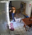 Guy Wigs Out After Cockroach Crawls on Him