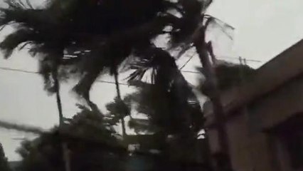 কলকাতাঃ রাজ্যজুড়ে আজও কি চলবে ঝড়-বৃষ্টি ! জেনে নিন আগাম পূর্বাভাস