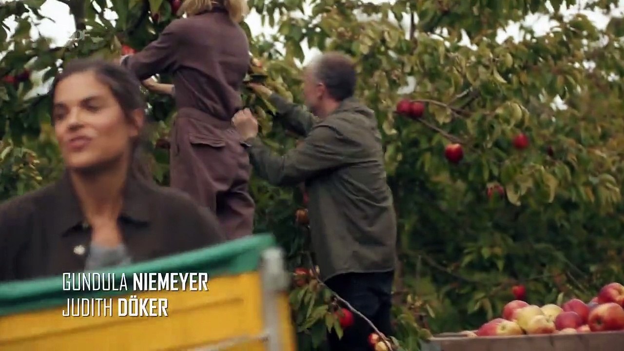 SOKO Hamburg S4F10 - Erntezeit