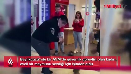 Güvenlik görevlisi, maymun sevdiği için zorla istifa ettirildi