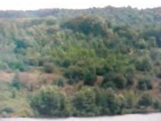 Dell 2408 pixels vert clignotant