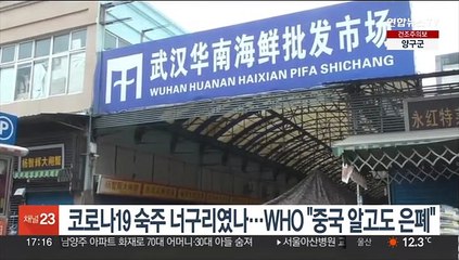 코로나19 숙주 너구리였나…WHO "중국 알고도 은폐"