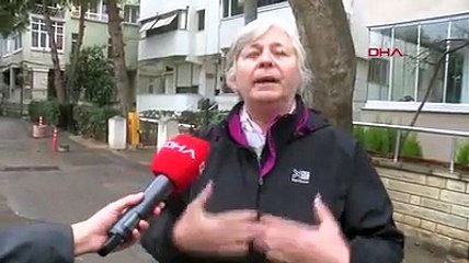 İstanbul'da kedi katliamı: Sokaktakiler öldü, evdekiler kayboldu