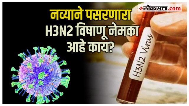 H3N2 Virus:देशात पसरणाऱ्या H3N2 विषाणूची लक्षणं काय? संसर्ग टाळण्यासाठी काय काळजी घ्यावी? जाणून घ्या