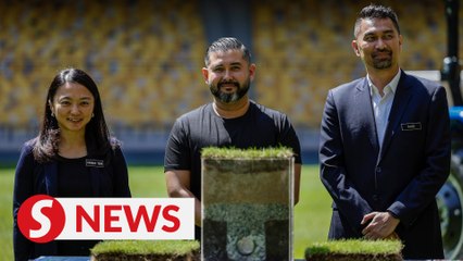 National Stadium begins converting cow grass to Zeon Zoysia grass