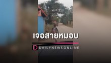 หนุ่มรีบไปทำธุระ แต่ดันเจอสายหมอบ เร่งเครื่องใส่-ไม่ทันขาดคำยกล้อซะงั้น | HOTSHOT เดลินิวส์ 18/03/66
