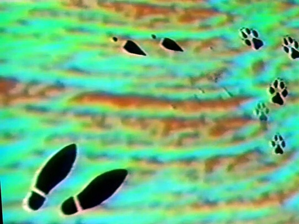 Liquid Television S01 E02
