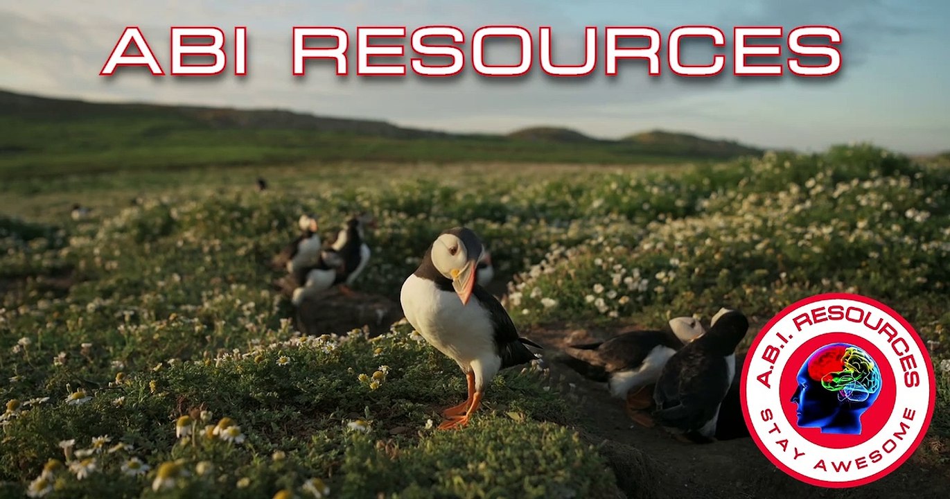 How to Boost Your Mood and Feel Good with the Power of Nature ABI RESOURCES