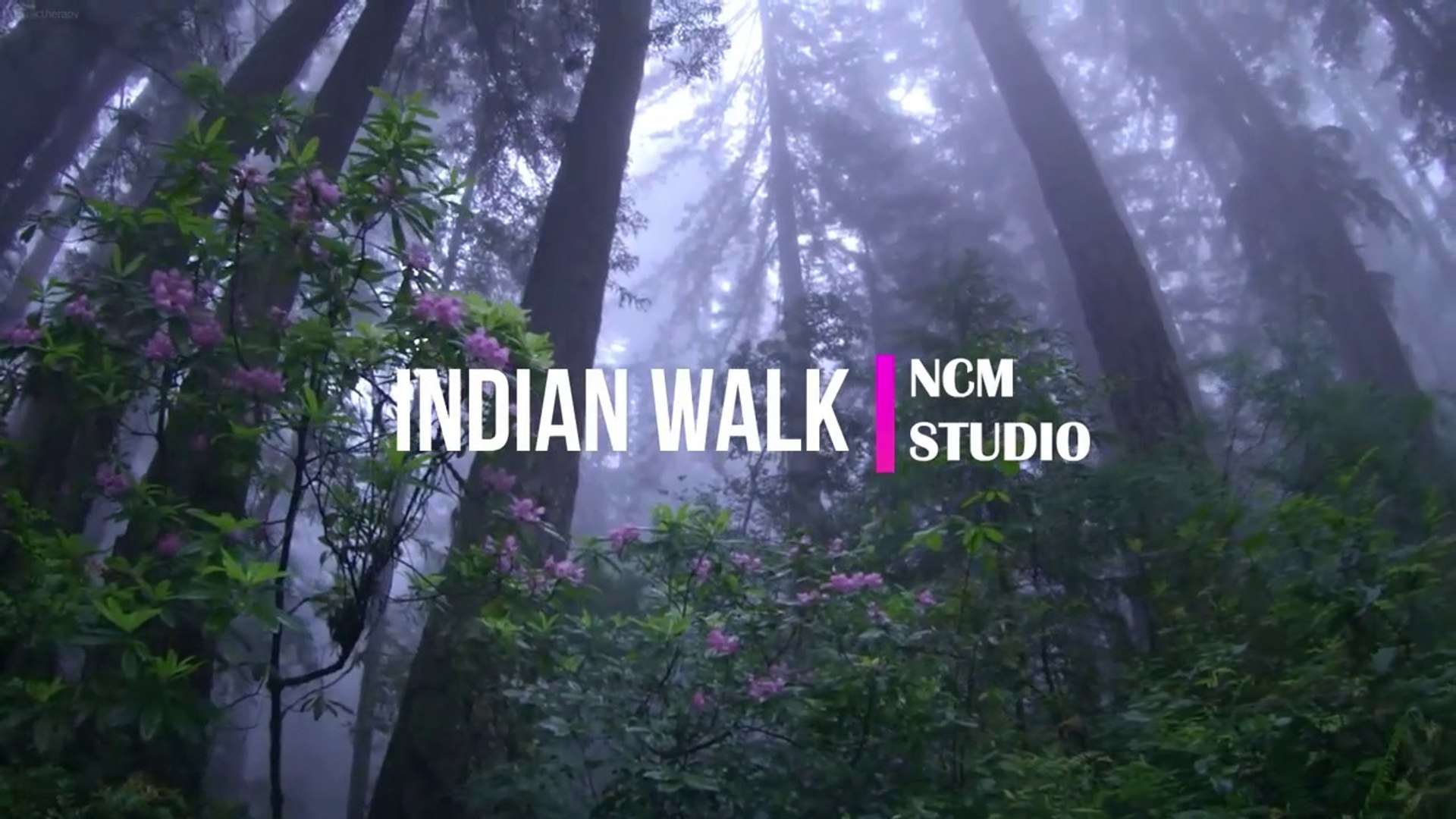 ⁣Indian Walk - Nico Staf- Romantic Music - Ambient Music