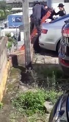 Cães são resgatados em vala de pátio de hospital de Florianópolis