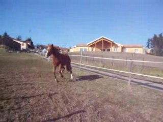 Oasis+agathe=love 098