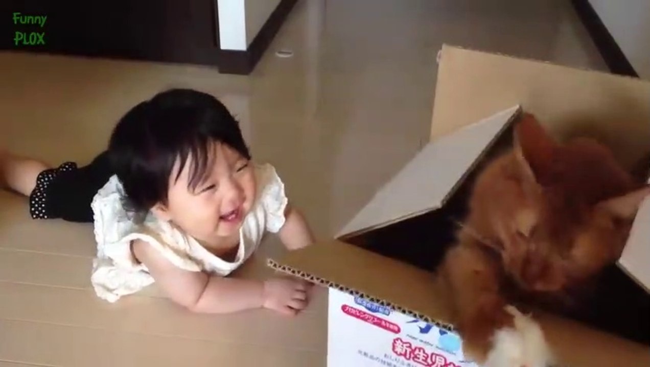 Funny Babies Laughing Hysterically at Cats Compilation (2023)