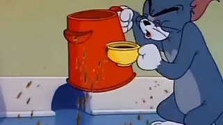 Tom And Jerry Show Classic Cartoons wb animation -funny cartoons