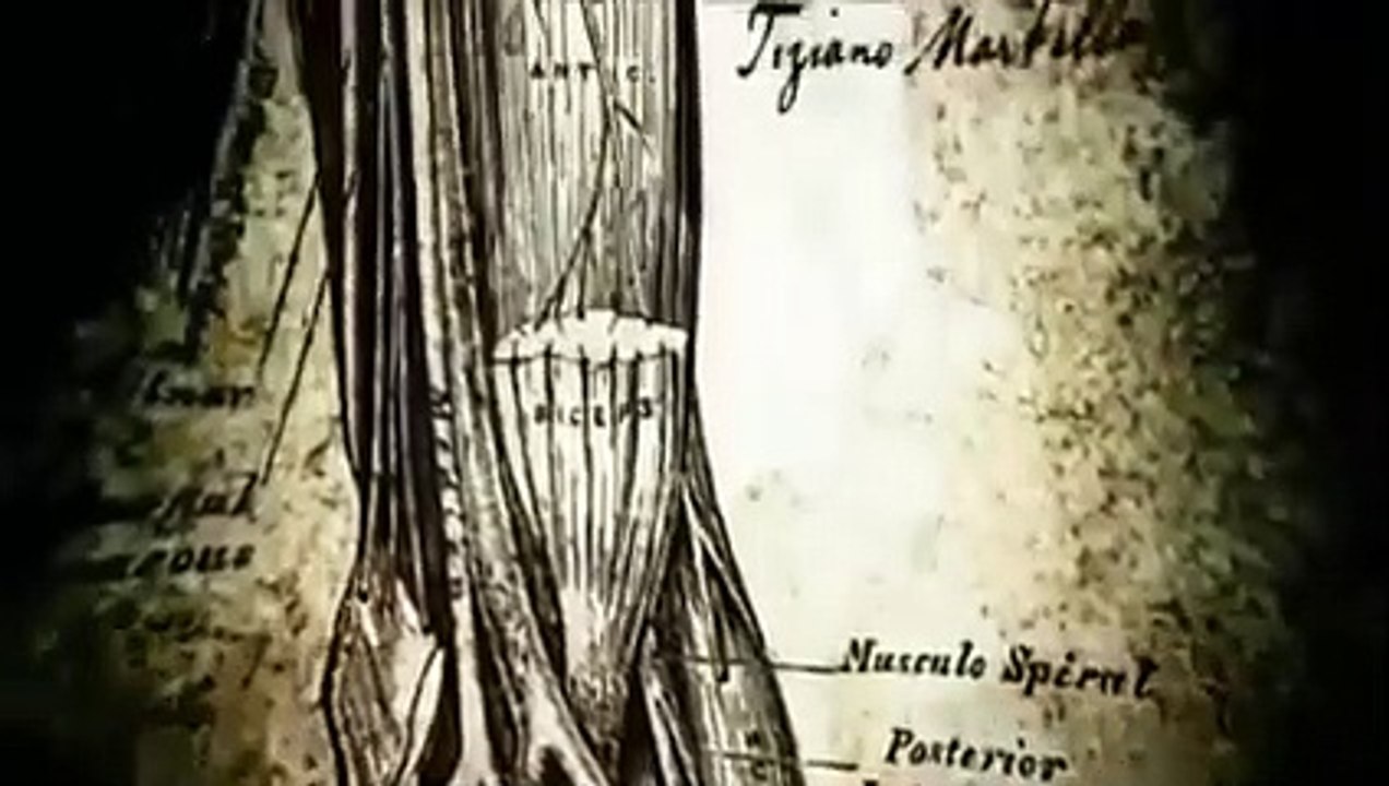 فيلم رعب مذبحة الزومبي Reich Of The Dead مترجم  كامل افلام رعب و اكشن اجنبي 2020 -2021