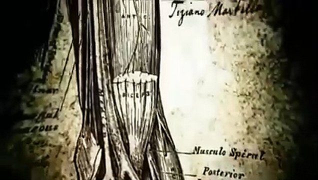فيلم رعب مذبحة الزومبي Reich Of The Dead مترجم كامل افلام رعب و اكشن اجنبي 2020 -2021
