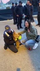 Popeye The Wiggly Welcoming Committee