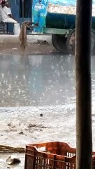 raining till late night