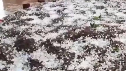 बैतूल: ओलावृष्टि ऐसी कि हैरान रह गए लोग, किसानों के झलके आंसू