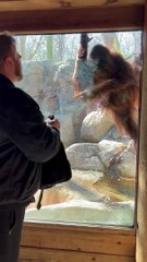 Amber Is Curious About The Items In Your Backpack