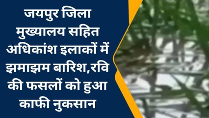जयपुर : बारिश से तापमान में गिरावट, फसलों को हुआ नुकसान, देखिए पूरी खबर