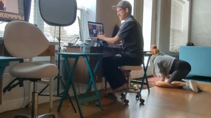 'That's sneaky!' - Woman goes stealth mode to let dogs in while husband is attending online meeting