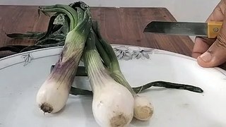 viral onion art.