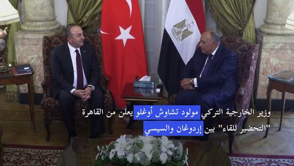 وزير خارجية تركيا يعلن من القاهرة عن لقاء مرتقب بين السيسي وإردوغان