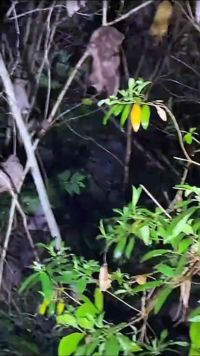 Paranormal activity ghost on camera part 109