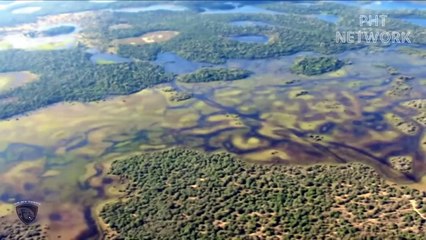 Lion Cub Painfully Watched Mother Lion Being Destroy By Crocodiles Too Fierce