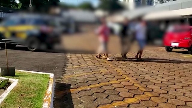 Caminhoneiros que transportavam drogas são encaminhados à 15ª SDP