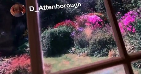 Spitting Image (2020) Spitting Image (2020) S01 E009