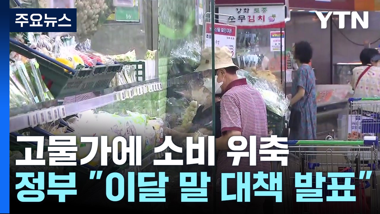고물가에 소비 위축..."이번 달 말 내수 진작책 발표" / YTN
