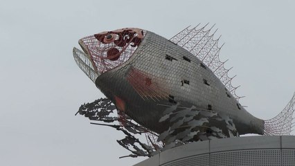 목포, 서남권 수산물·관광 전진 기지 도약 / YTN