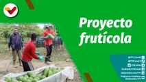 Cultivando Patria | Proyecto frutícola en La Agropecuaria Santa Fe