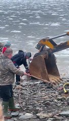 DFO Workers Help Dolphins Stuck in Ice